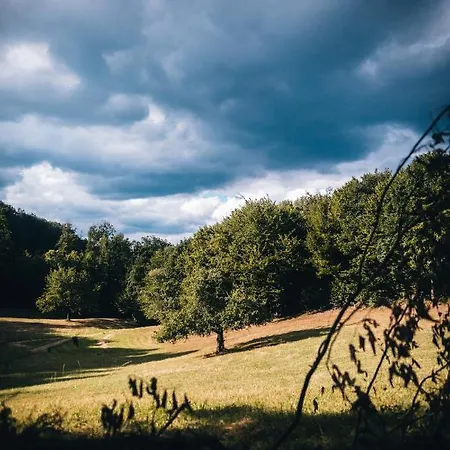 Stromdom Dva Duby Camping *